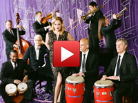 Pink Martini Video