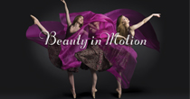 Beauty in Motion