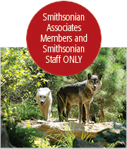 Zoo Wolves