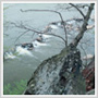 Fall Landscape Photography on the Potomac