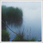 Fall Landscape Photography