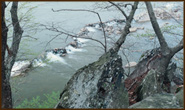 Fall Photography