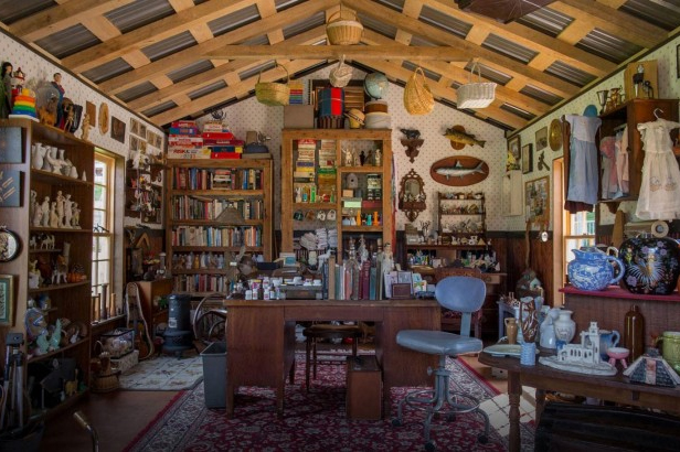 Virginia Curiosity Shop by Mark Dion
