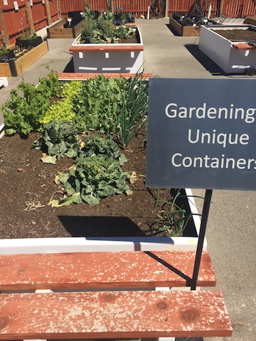 Community Garden Raised Bed