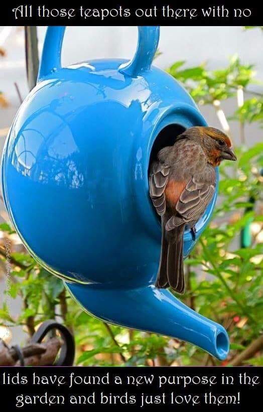 Tea Pot and bird