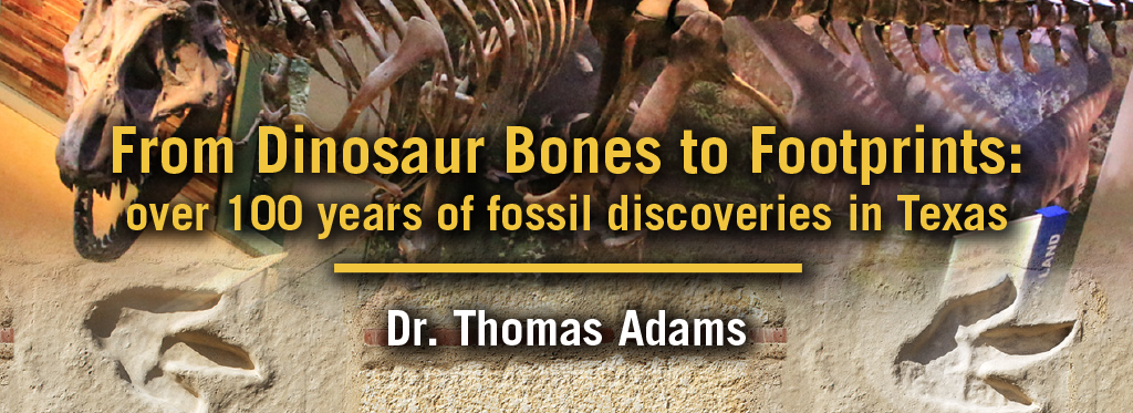 From Dinosaur Bones to Footprints