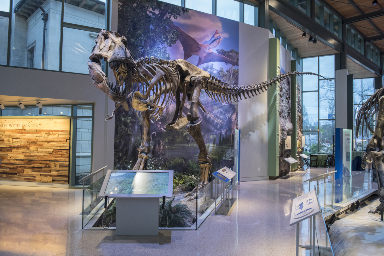 Naylor Family Dinosaur Gallery