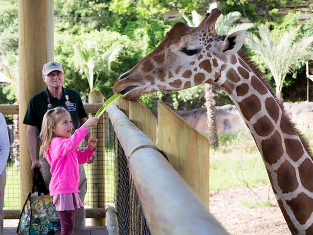 San Antonio Zoo