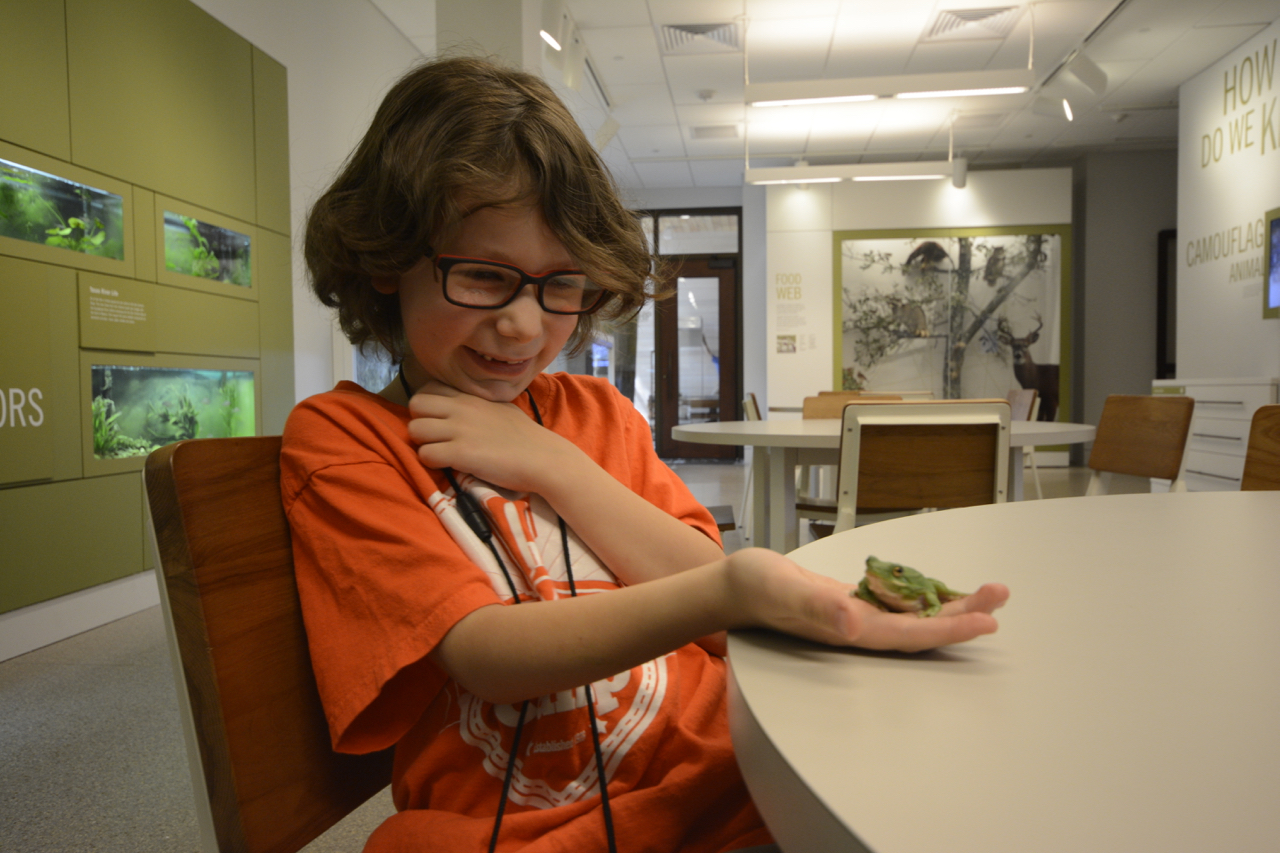 Witte Museum Summer Camp