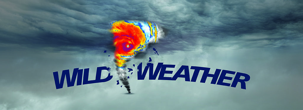 Wild Weather