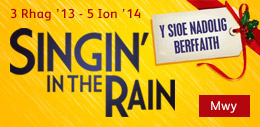 [Singin' in the Rain - The Perfect Christmas Show]