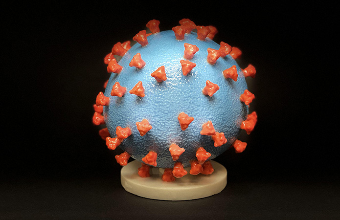 COVID-19 virus model is spherical in shape, and has small, spiky protrusions scattered across the surface.