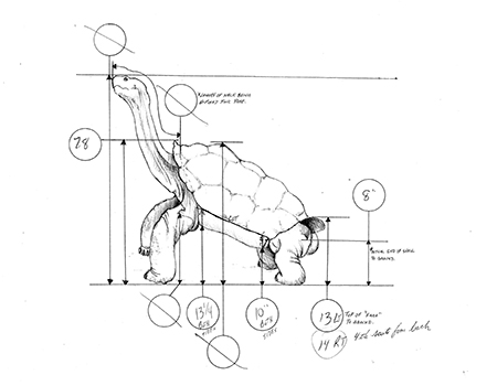 Drawing of Lonesome George