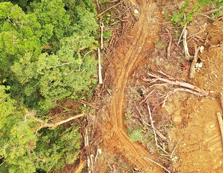 Overhead drone photo of rainforest with exposed red soil from deforestation. 