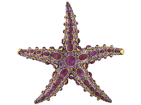 Jeweled starfish