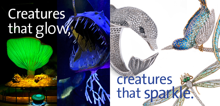 Creatures that glow, creatures that sparkle.