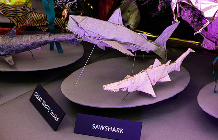Closeup of the Great White Shark and Sawshark Origami Models