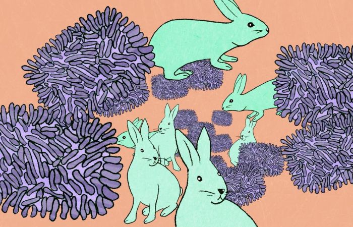 An illustration of rabbits and clusters of viruses