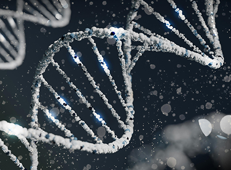 A digital depiction of a DNA helix, rendered in clear bright blue and gray tones.