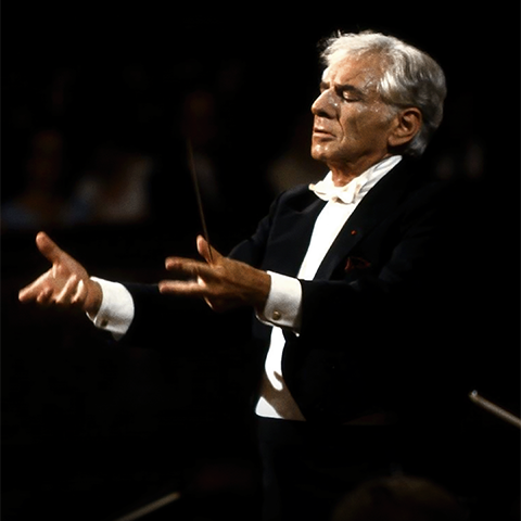Leonard Bernstein by Unitel