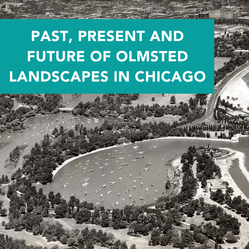 PAST, PRESENT AND FUTURE OF OLMSTED LANDSCAPES IN CHICAGO