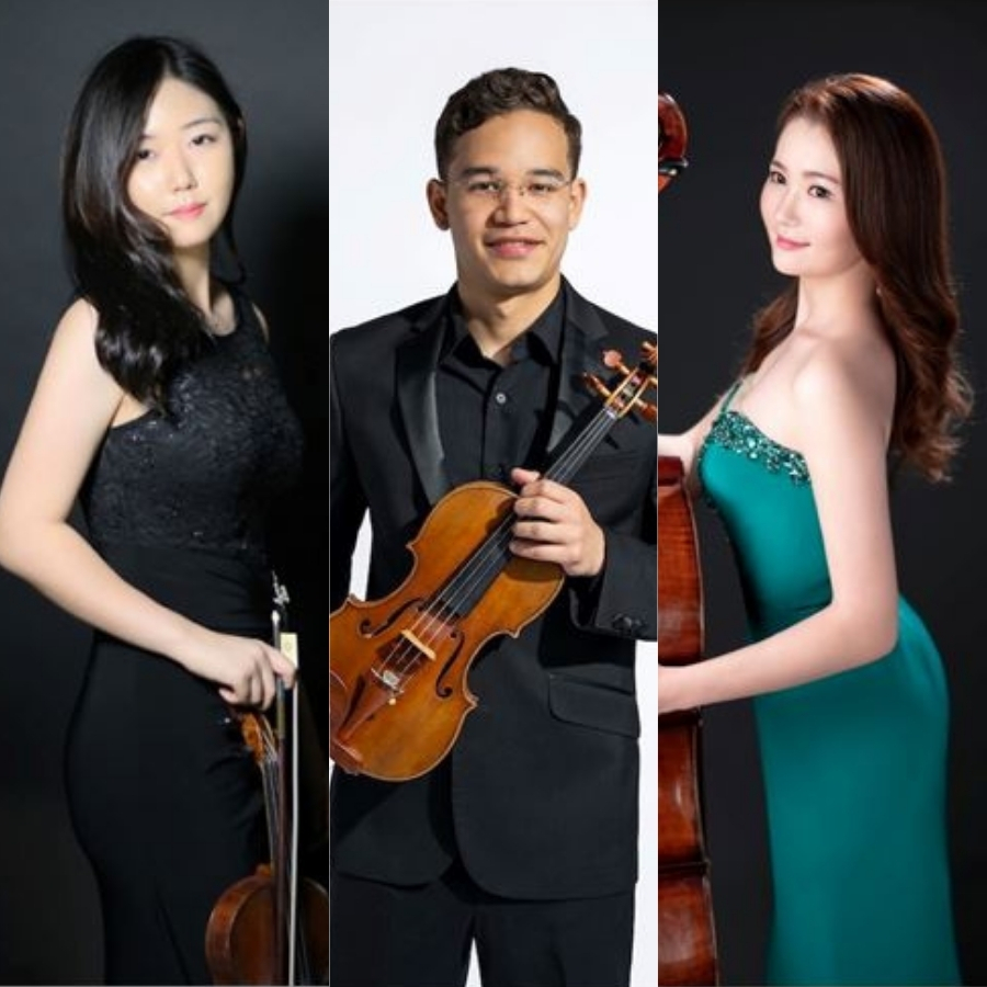 Experience CSO Article