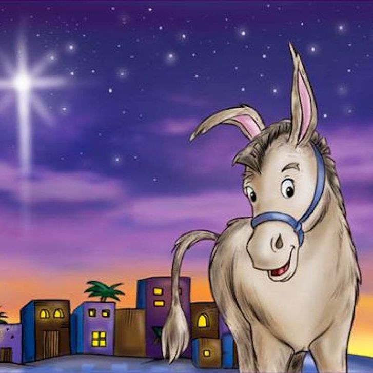 Experience CSO Article