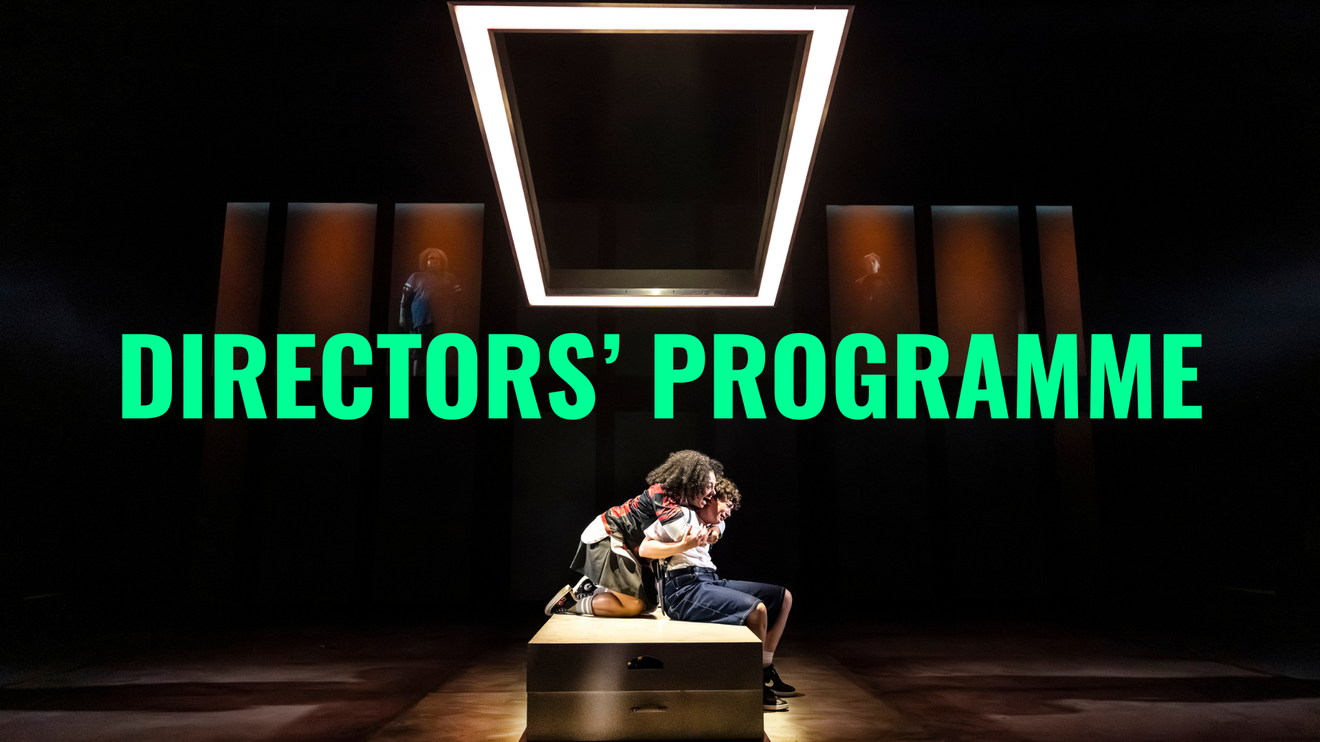 directors' programme