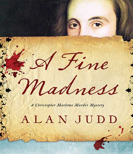 A Fine Madness book cover