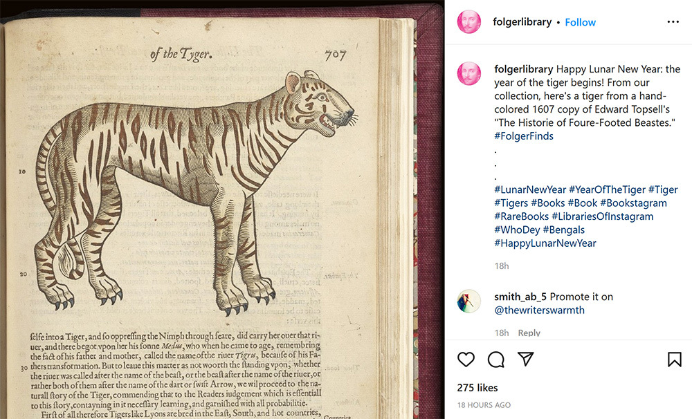 Instagram post with a 17th-century drawing of a tiger