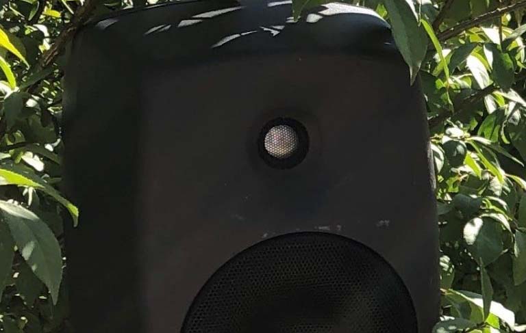 A black speaker is surrounded by green leaves