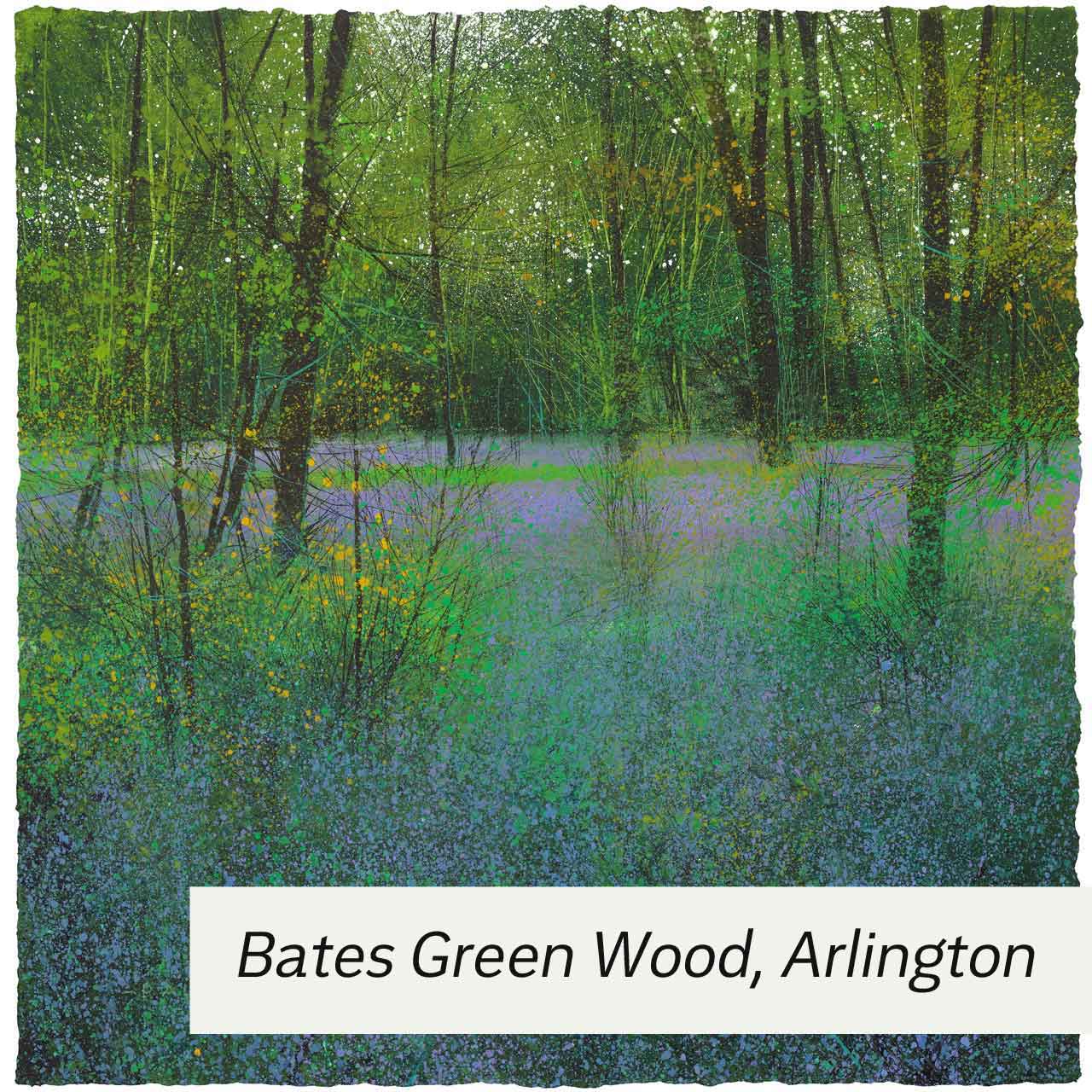 Bates Green Wood, Arlington by Paul Evans