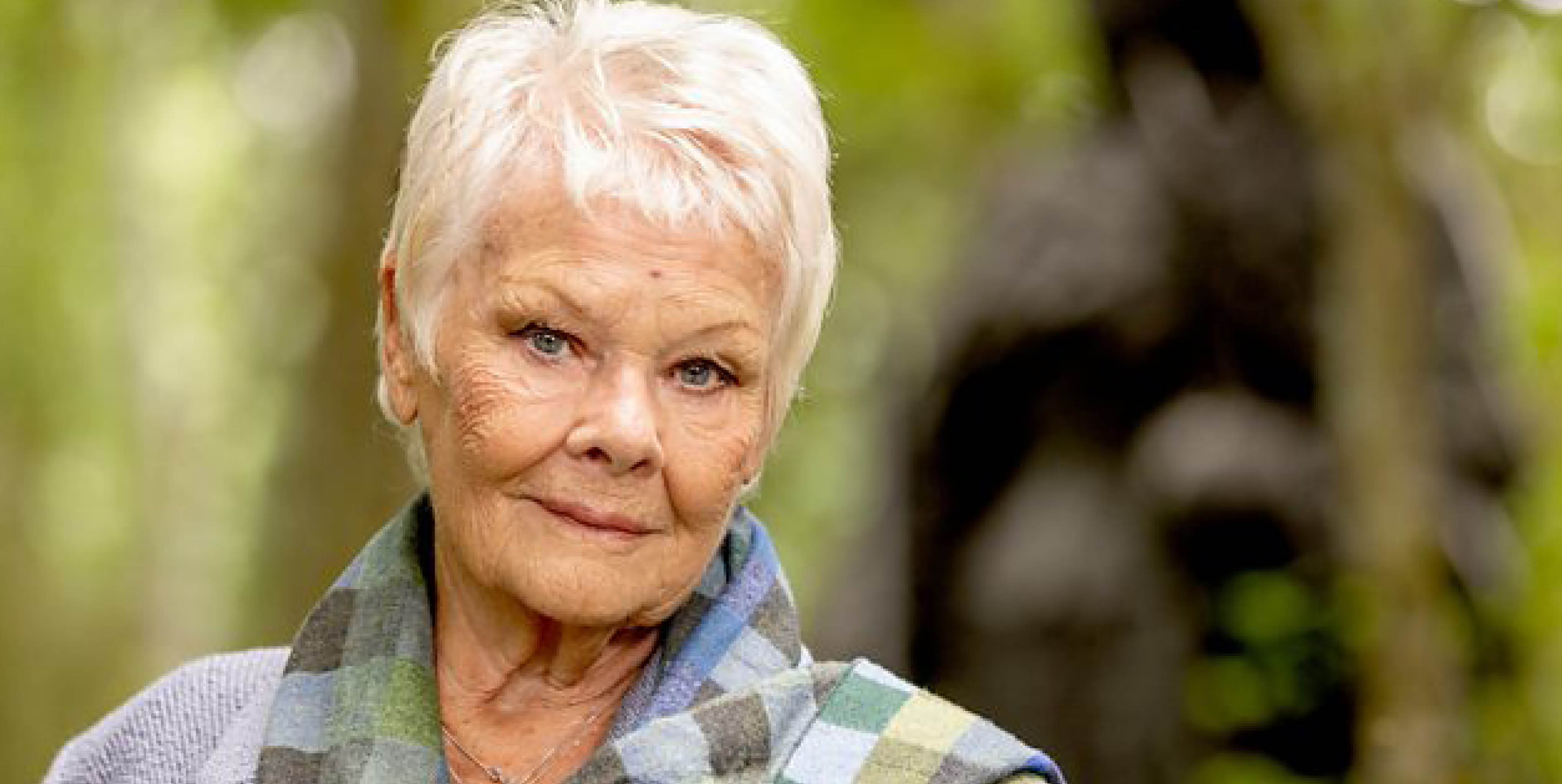 Meet Judi Dench