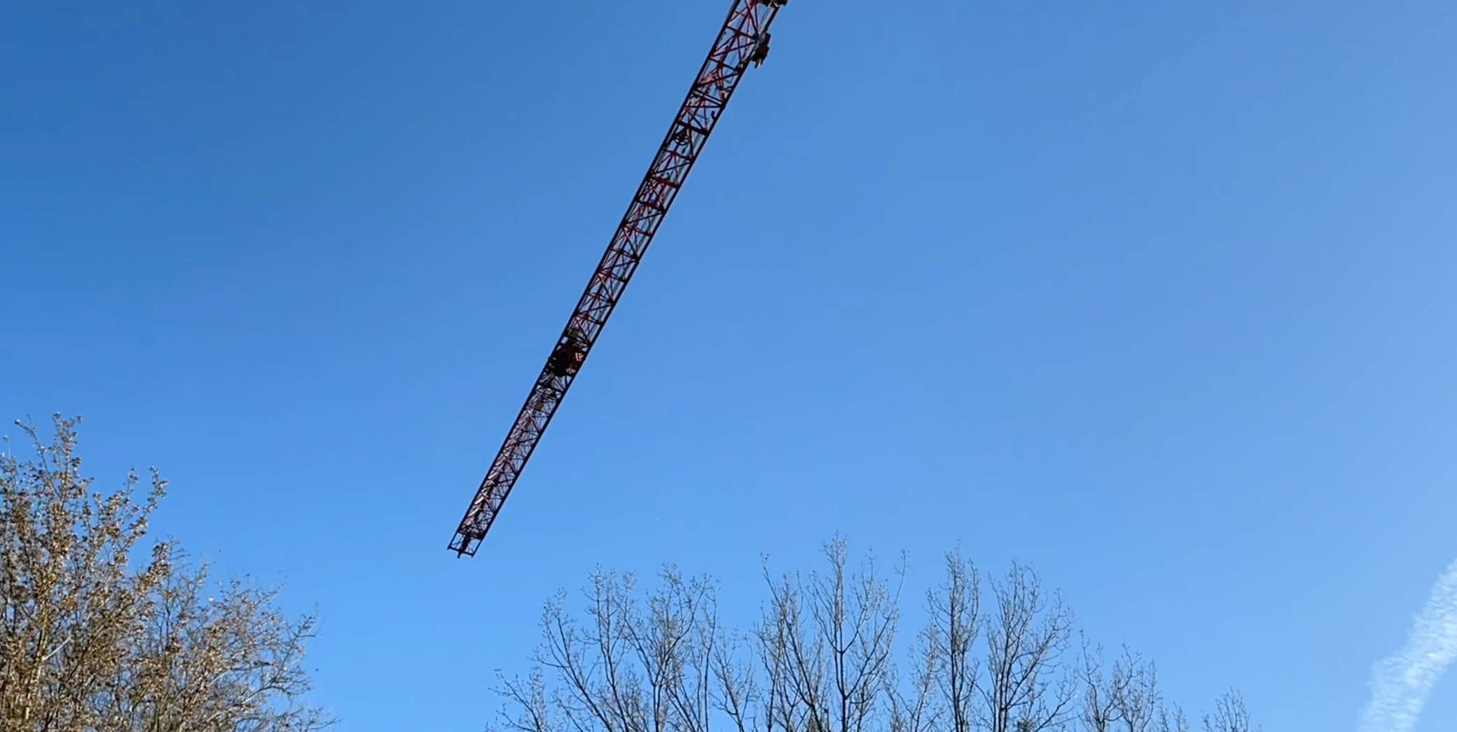 Crane Day No2