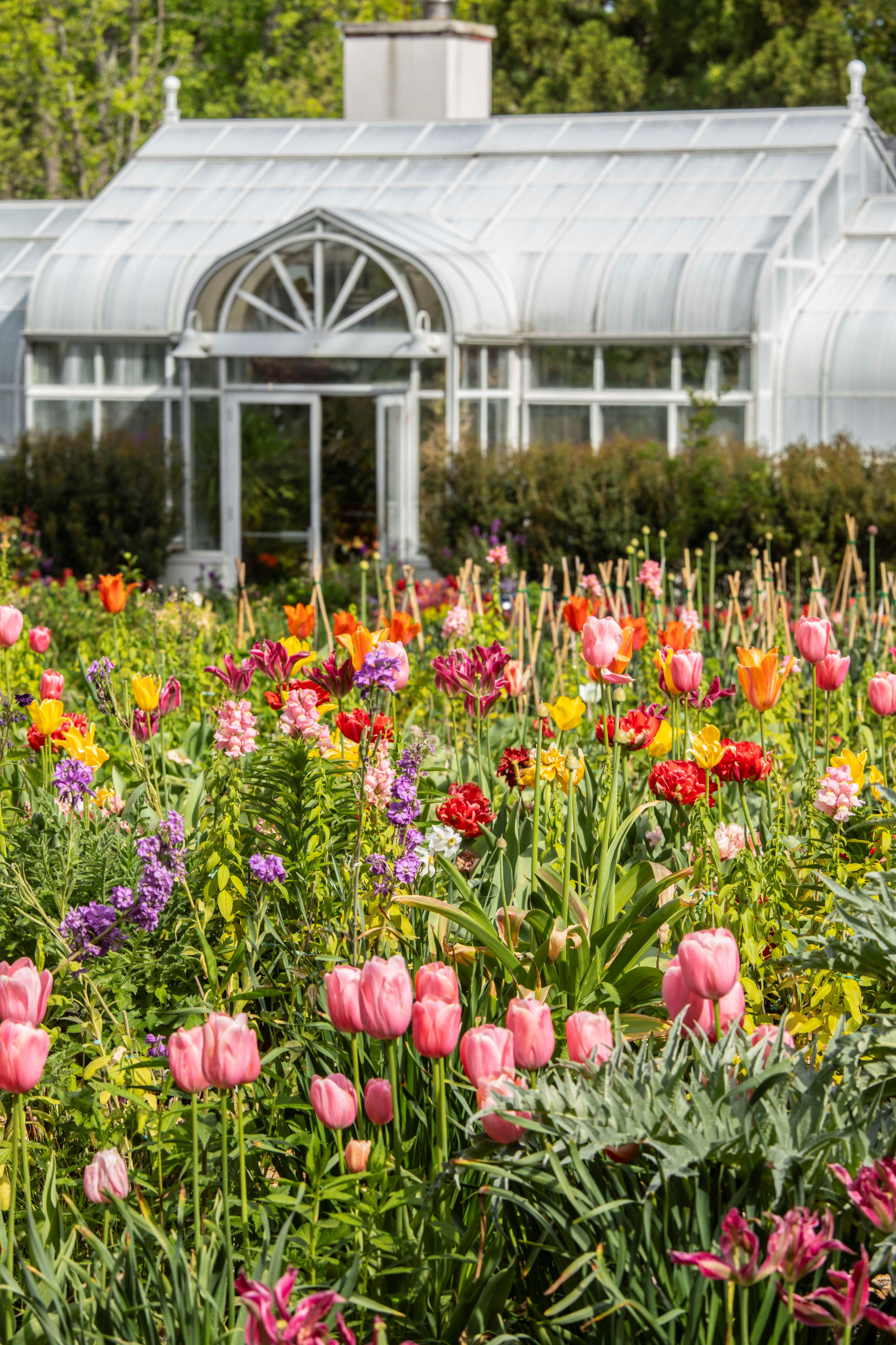 Spring blooms on the Lunar Lawn. Photo courtesy of Erik Kvalsvik.