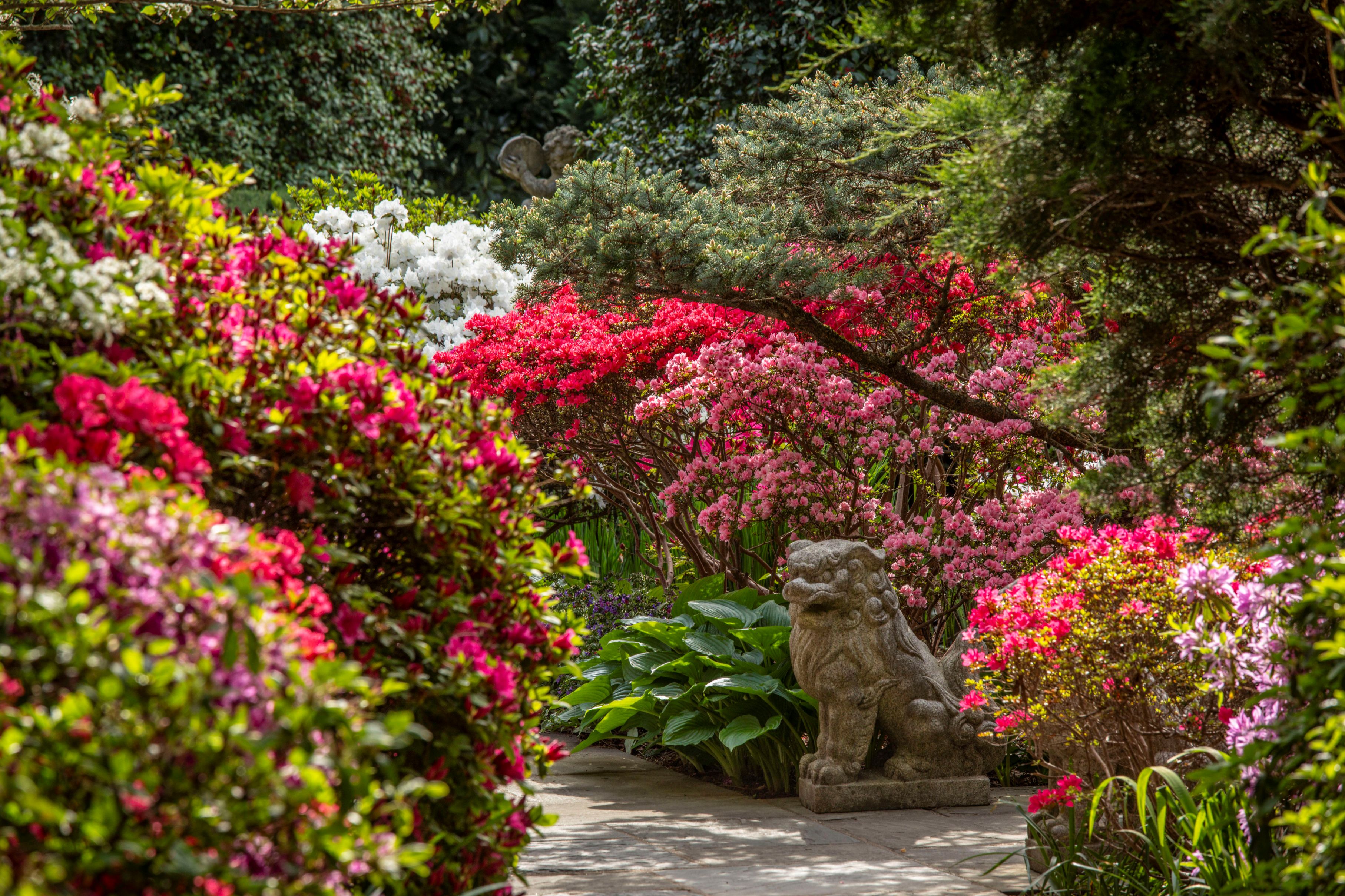 Spring blooms. Photo courtesy of Erik Kvalsvik.