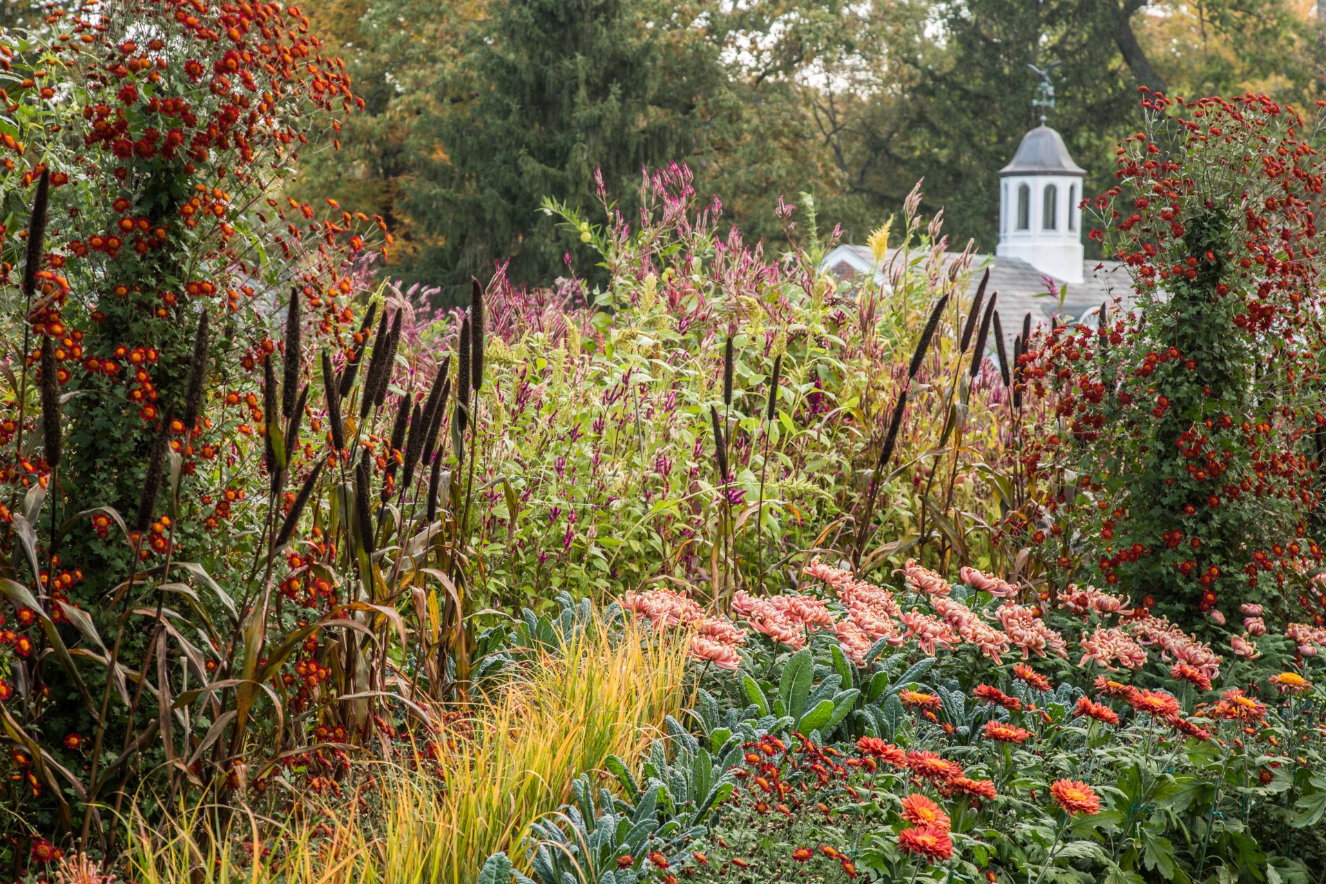 The fall cutting garden in full bloom. Photo courtesy of Erik Kvalsvik.