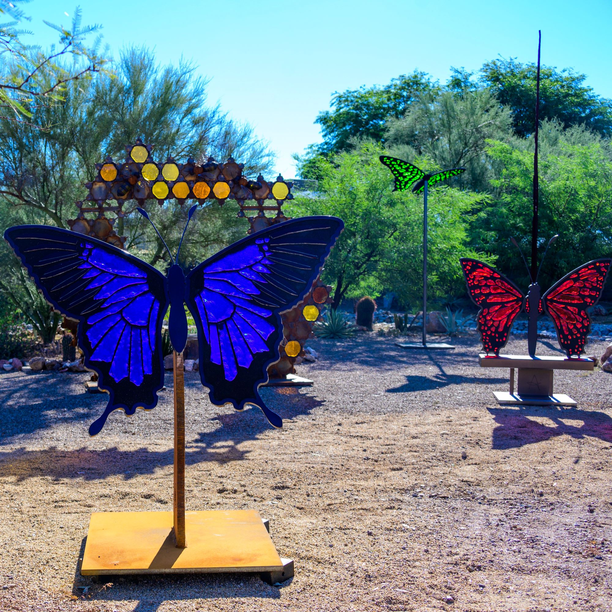 Glass in Flight sculptures shine in the sunlight of an arid garden