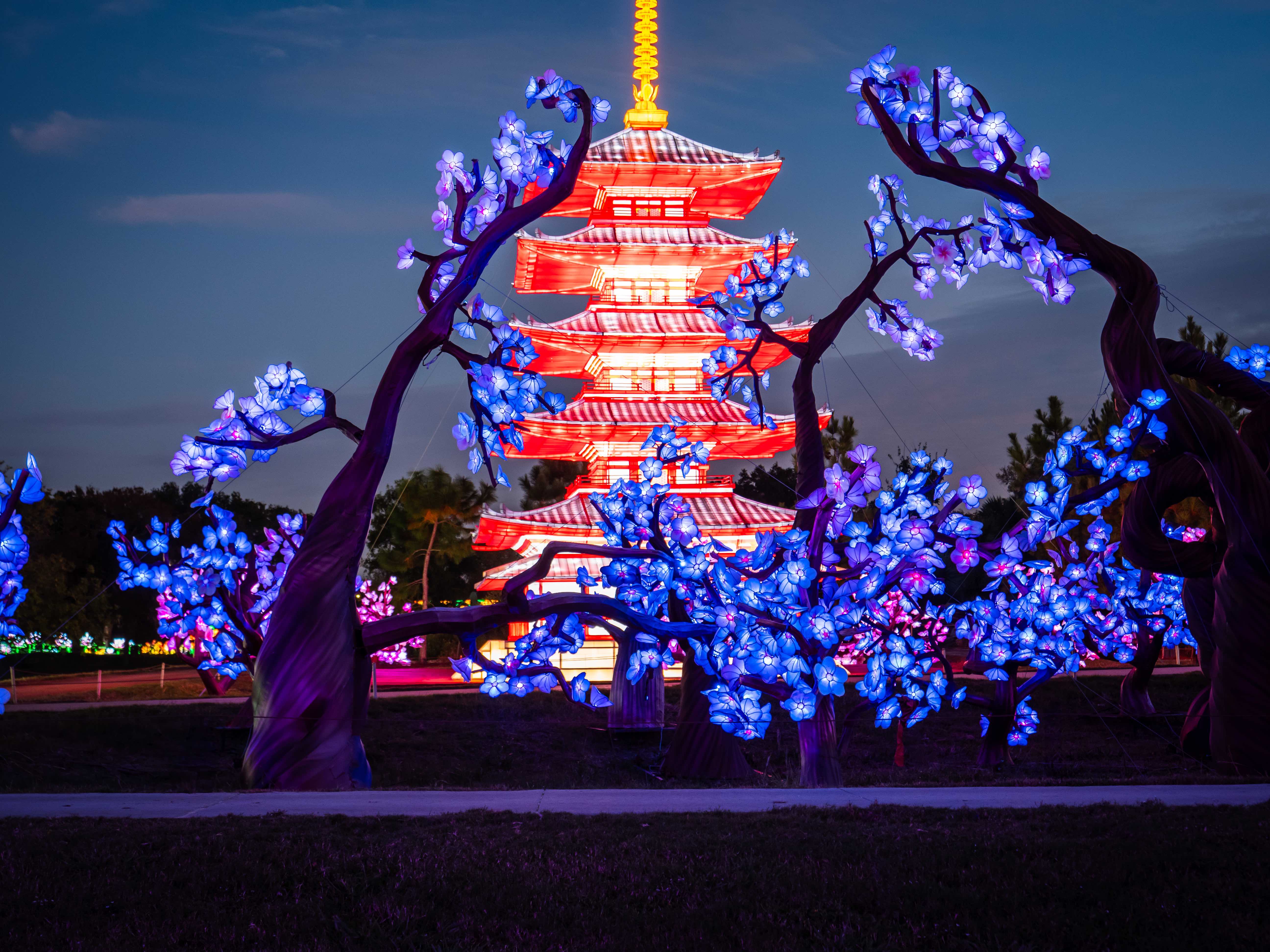 Pagoda structure lit up at night. 
