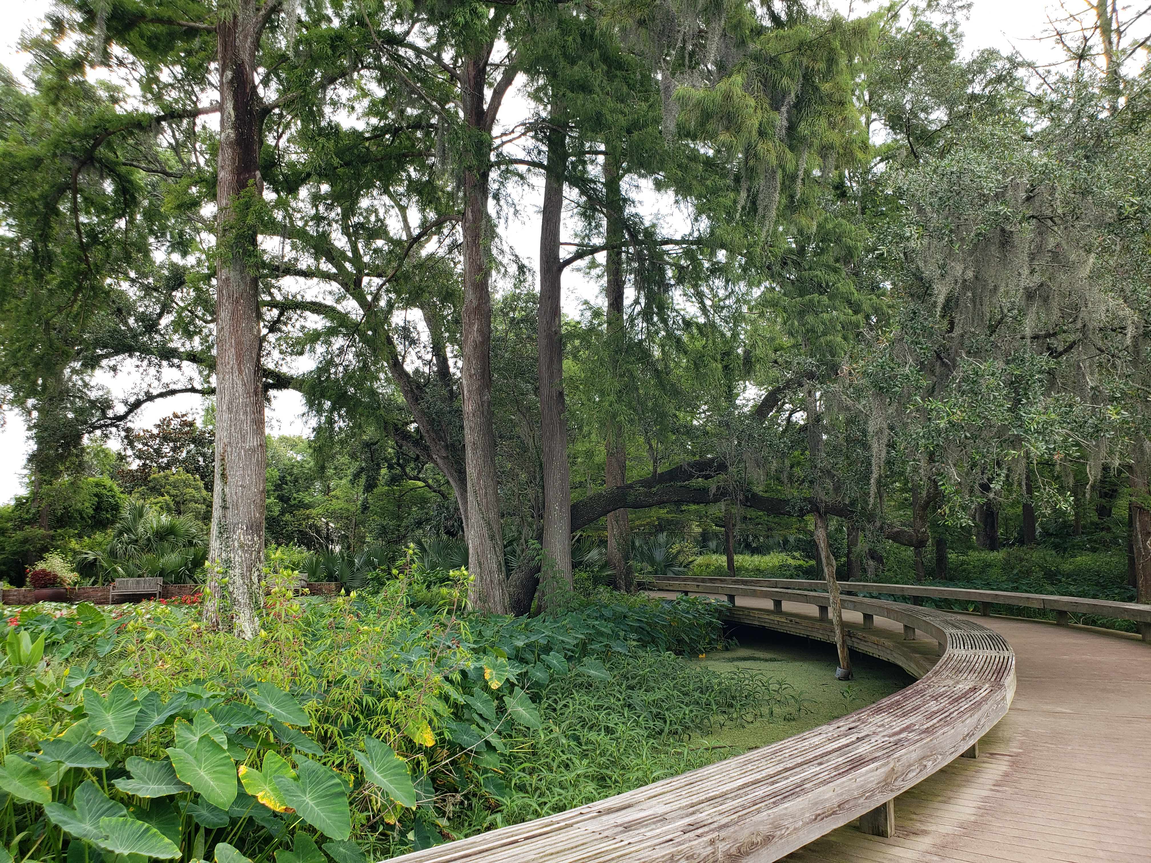 Trees shade a path at Shangri La Botanical Gardens & Nature Center.