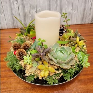 Succulent arrangement sits on the table with candle on a table. 