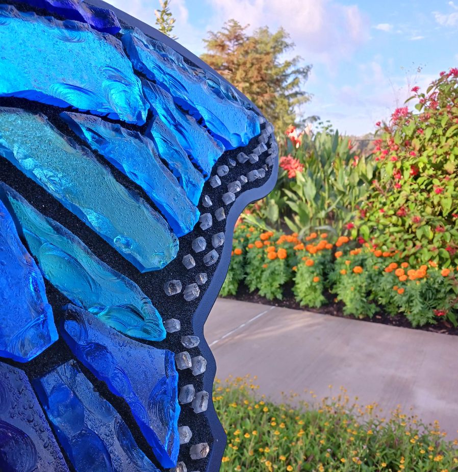 Glass in Flight sculptures shine in the sunlight of an arid garden