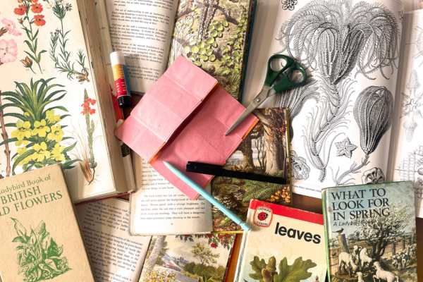 flower books, coloured paper, scissors and pens