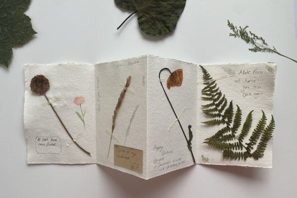 a folded herbarium sheet with a fern and other dried flowers stuck to it