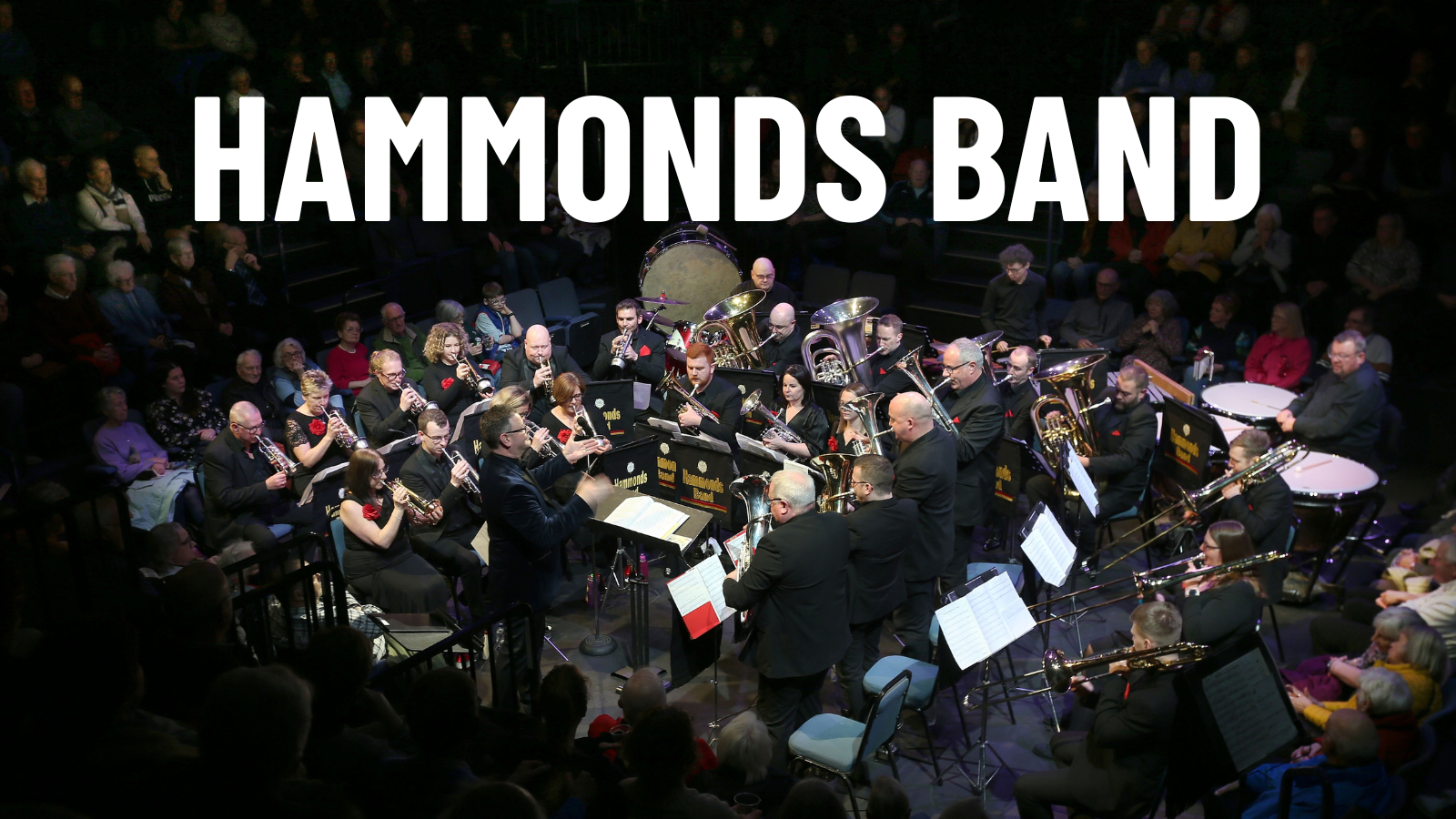 Members of the Black Dyke Band in concert dress and in formation with their brass instruments. Their conductor is stood proudly at the front.