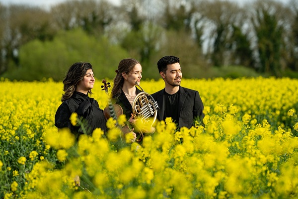 The three players of Trio Arisonto in black concert dress with their instruments in a field of rapeseed oil flowers.