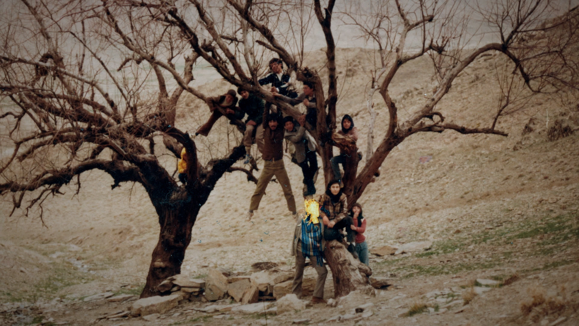 A large group of children play in the leafless branches of a dead tree. 