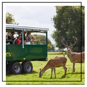 Sandwiches and scones with jam and cream