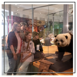 Family looking at a taxidermy panda
