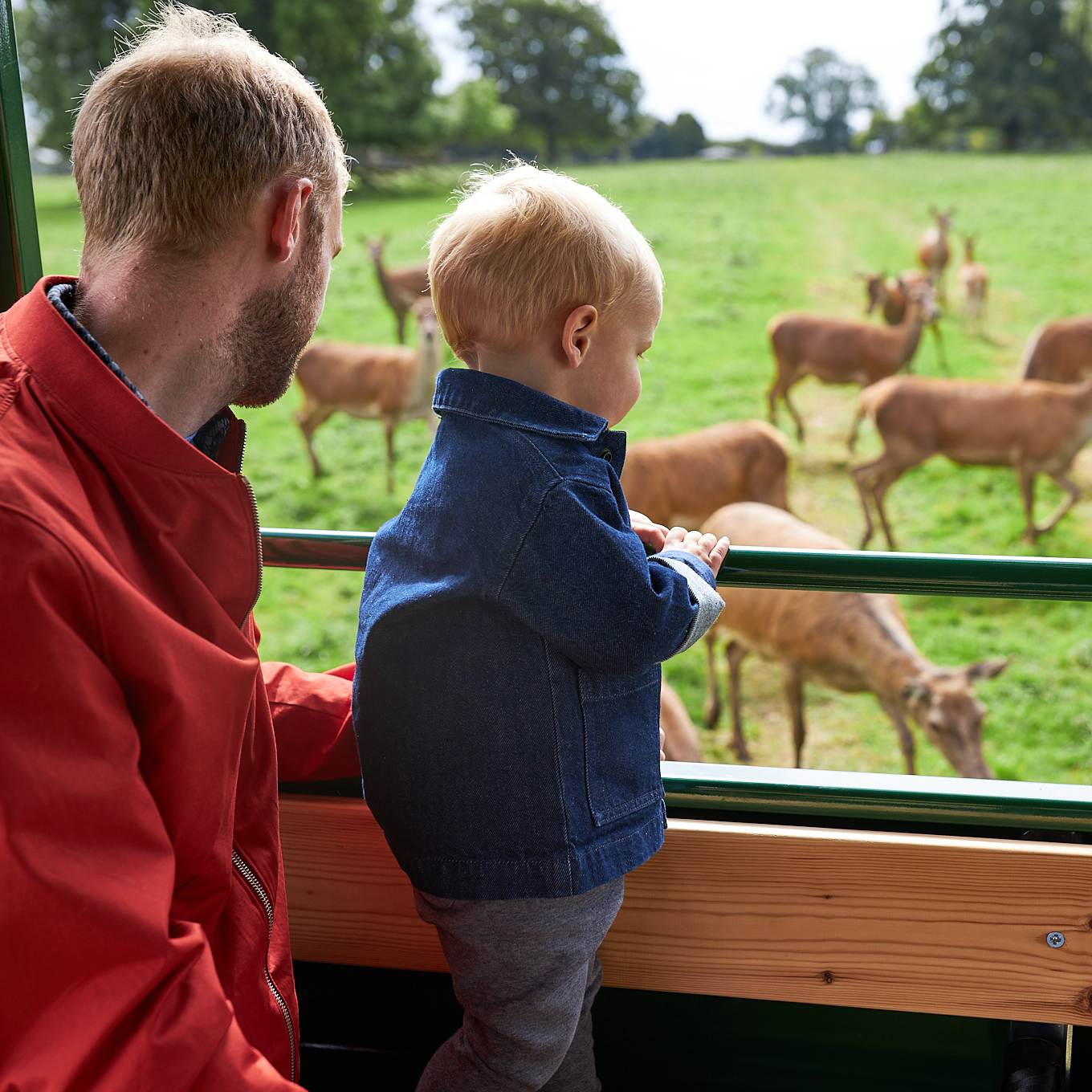 Adult and child sat on a trailer watching the red deer
